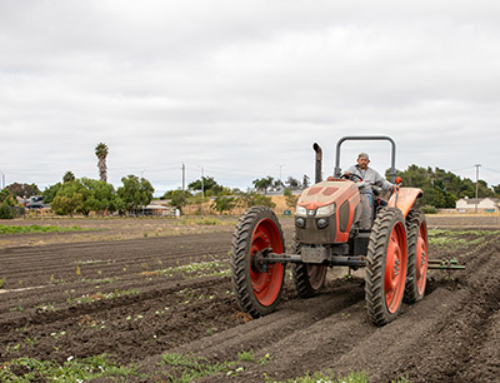 Digging Deeper into Food Justice with Dig Deep Farms